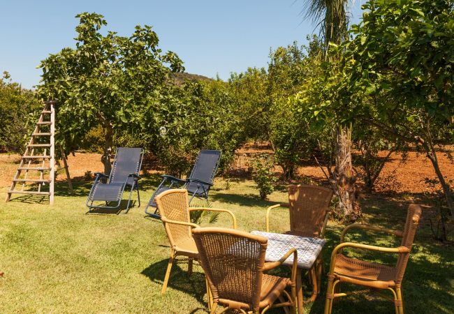 Finca en Pollensa / Pollença - CAL ROMA Ref. VP66