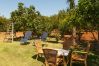 Finca en Pollensa / Pollença - CAL ROMA Ref. VP66