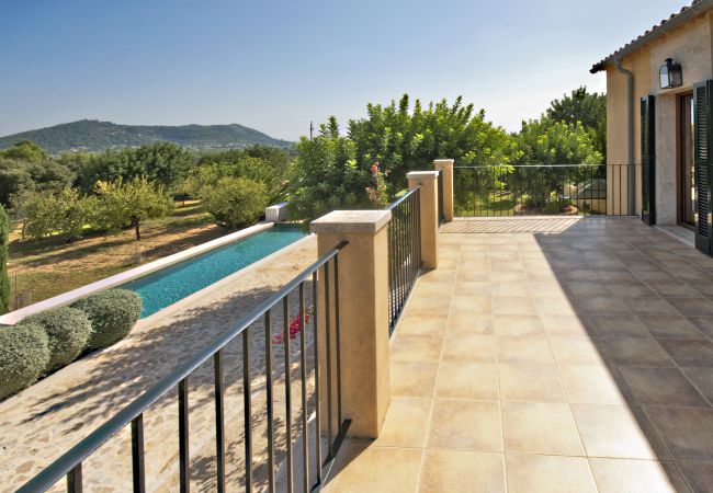 Terraza, jardín y piscina