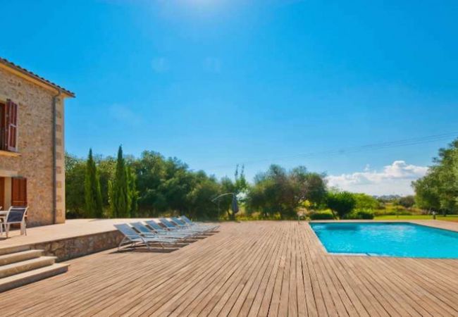 Terraza, piscina y vistas al jardín