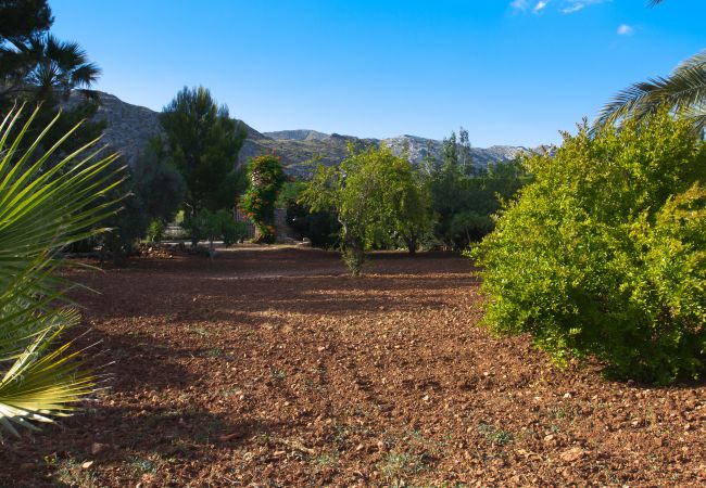 Naturaleza