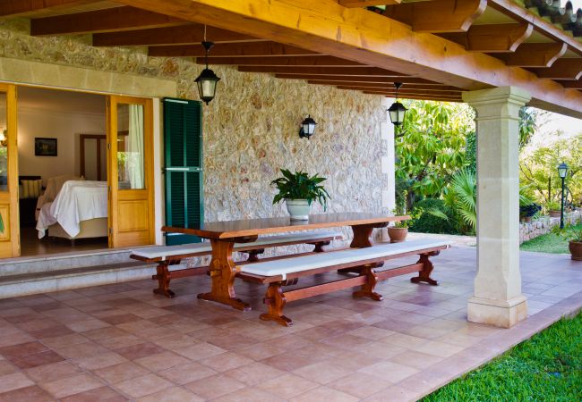 Terraza y salón