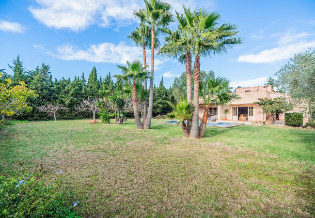 Villa en Pollensa - Villa Manyani
