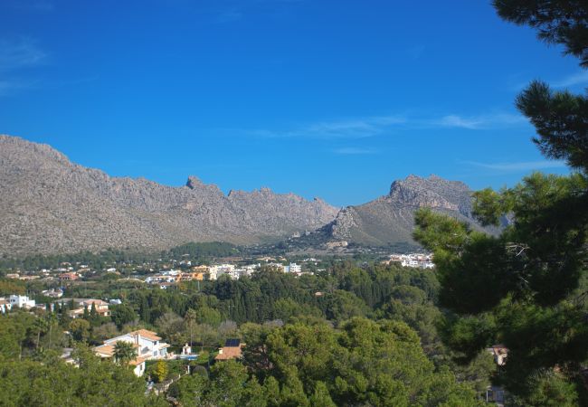 Blick auf den Berg von Puerto Pollensa von der Terrasse