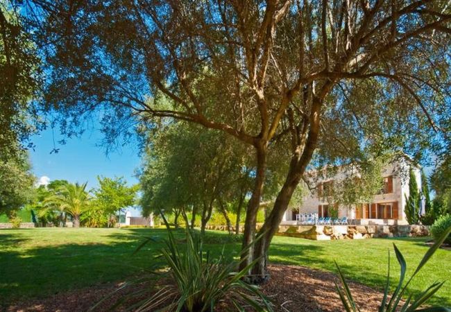 Garten und Bäume des Finca