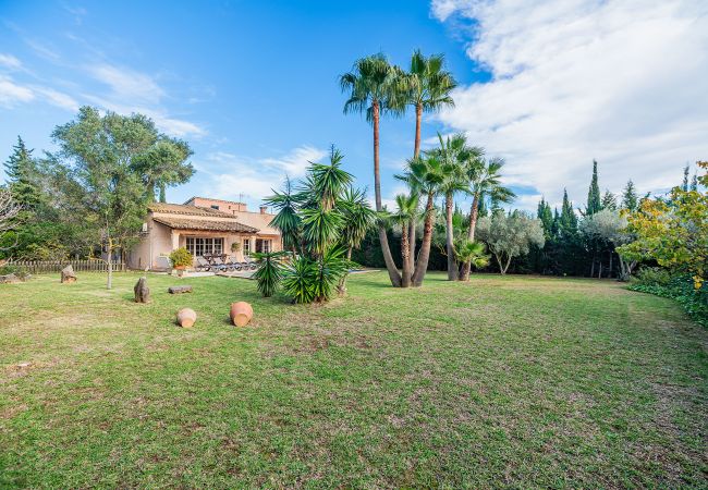 Villa in Pollensa - Villa Manyani