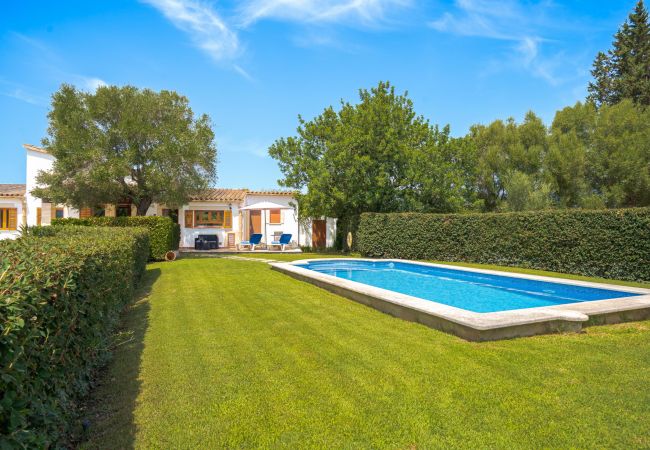 Villa in Pollensa - Villa Tarongers