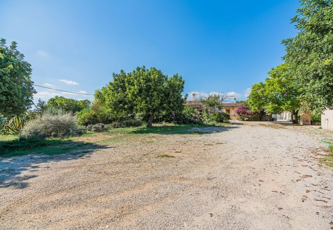 Country house in Inca - Finca Ca'n Porxet