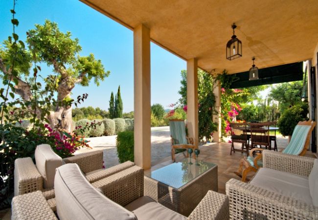 Terrace with sofas and armchairs to relax