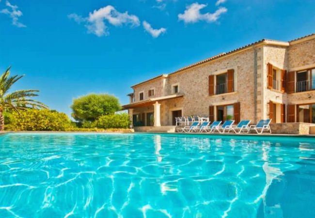 Swimming pool and sun loungers