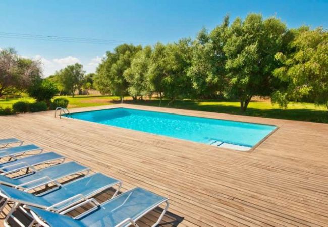 Swimming pool and trees