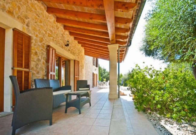 Covered terrace near the garden