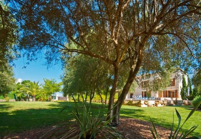 Garden and trees of the Villa