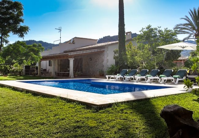 Garden with sun loungers