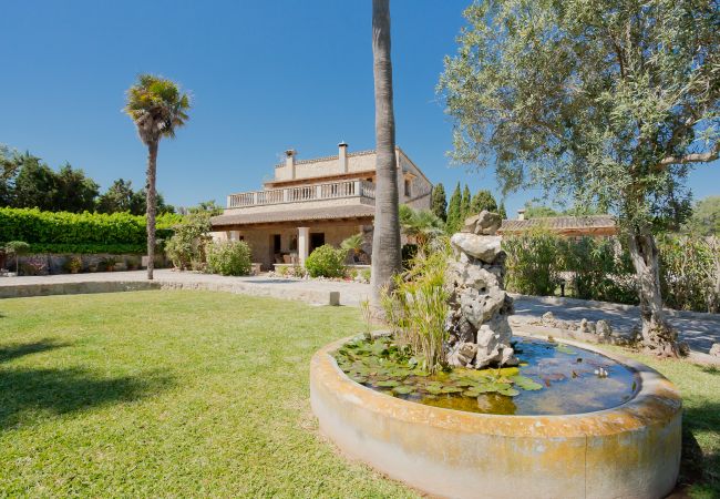 Garden and fountain