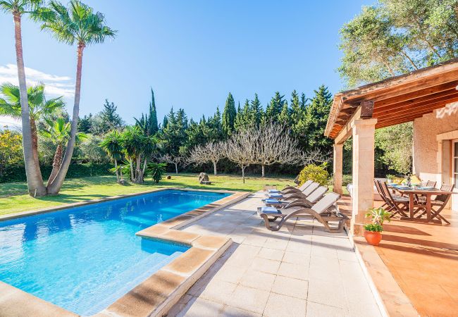 Villa in Pollensa - Villa Manyani