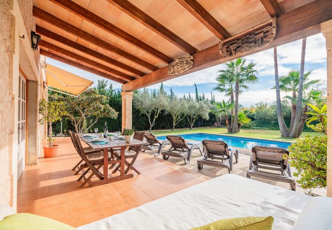 Villa in Pollensa - Villa Manyani