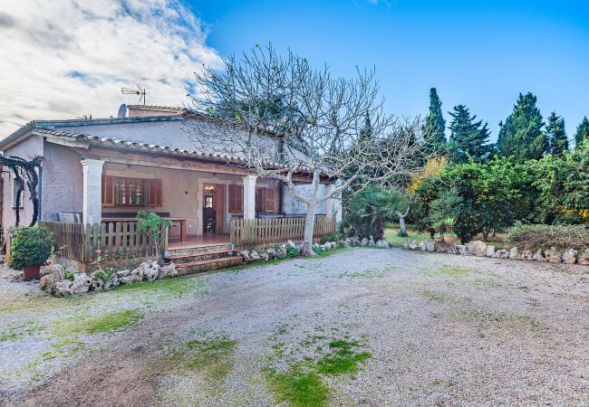 Villa in Pollensa - Villa Manyani