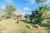 Villa in Pollensa - Villa Manyani