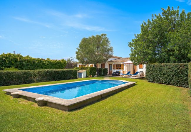 Villa in Pollensa - Villa Tarongers
