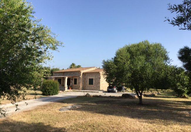 Country house in Pollensa - Finca Pollensa