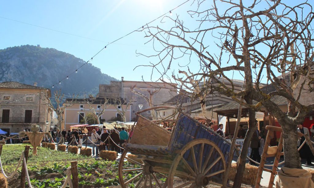 pollensa-mallorca