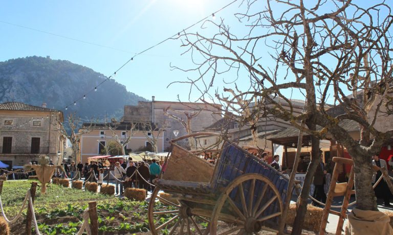 pollensa-mallorca